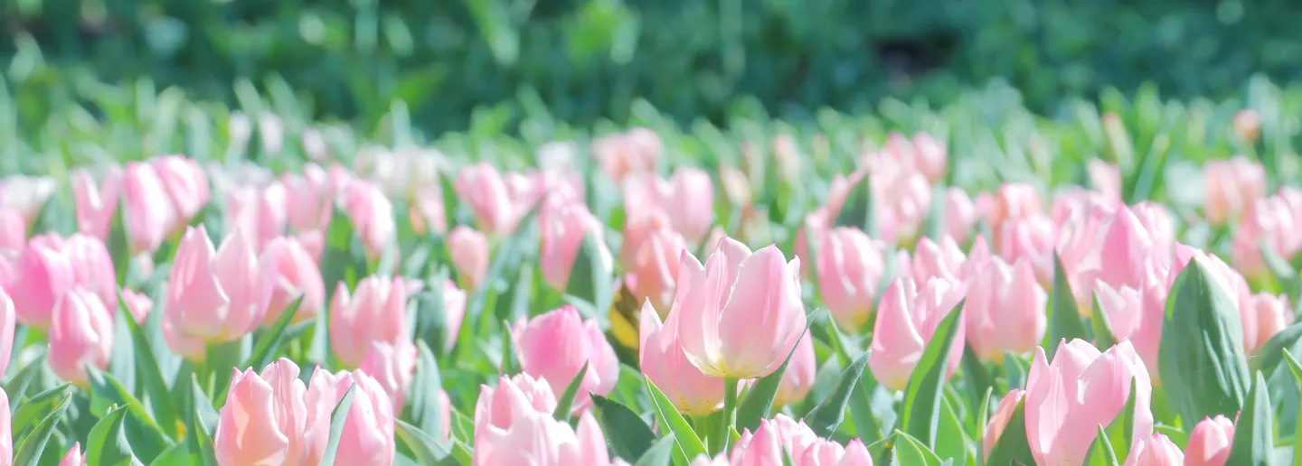 カーボンフットプリント(CFP)第三者検証 ISO14067:2018