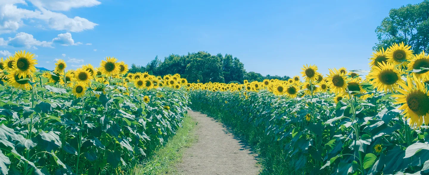 統合審査