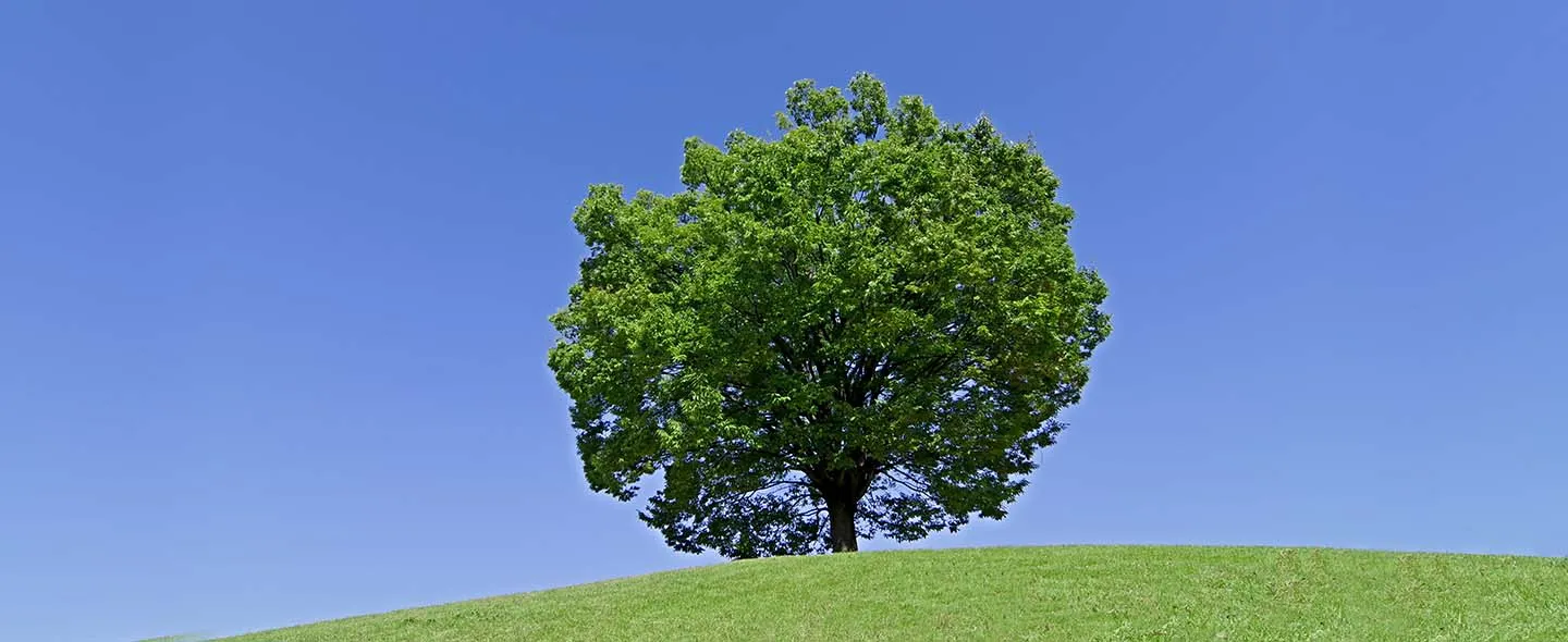 SDGs サービス