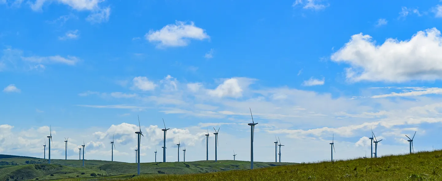 Environment & Sustainability