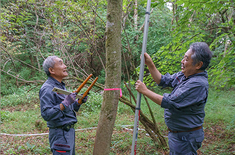 審査員の仕事紹介 森林現地検証 計測