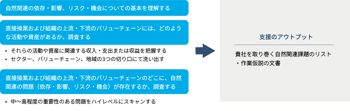 スコーピング 仮説の構築